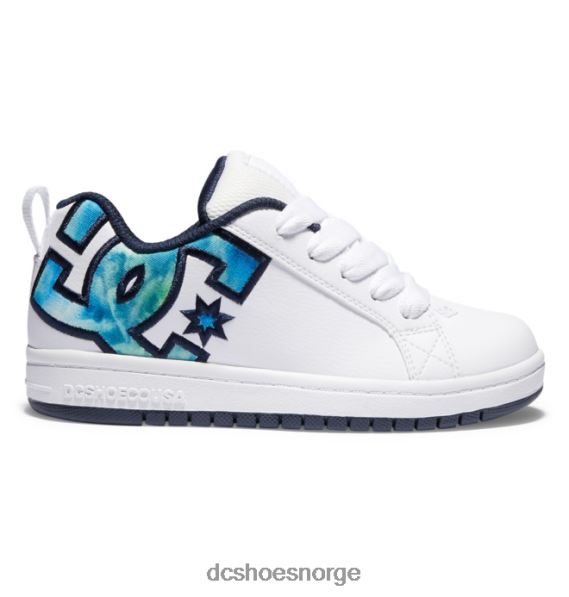 DC Shoes barnas domstol graffik sko X0FD0532 hvit/blå/grønn