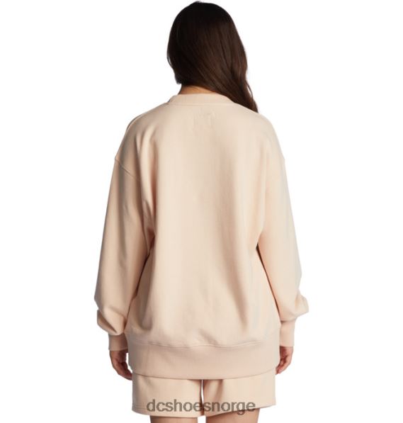 DC Shoes helggenser for kvinner X0FD0482 krembrun