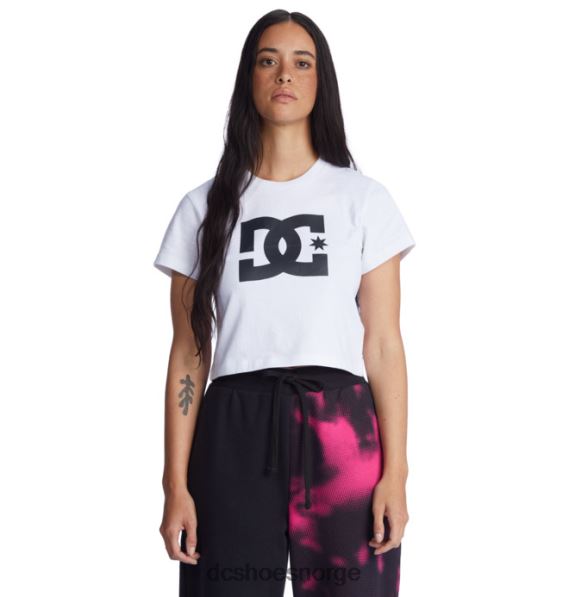 DC Shoes kvinners dc star cropped t-skjorte X0FD0472 hvit