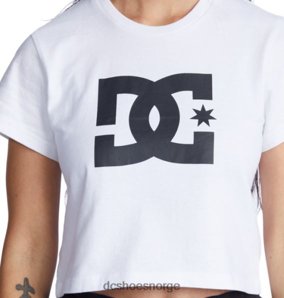 DC Shoes kvinners dc star cropped t-skjorte X0FD0472 hvit