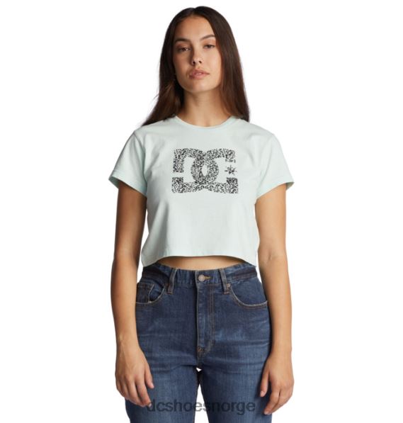 DC Shoes kvinners dc star fill cropped baby t-skjorte X0FD0486 isvannsvask