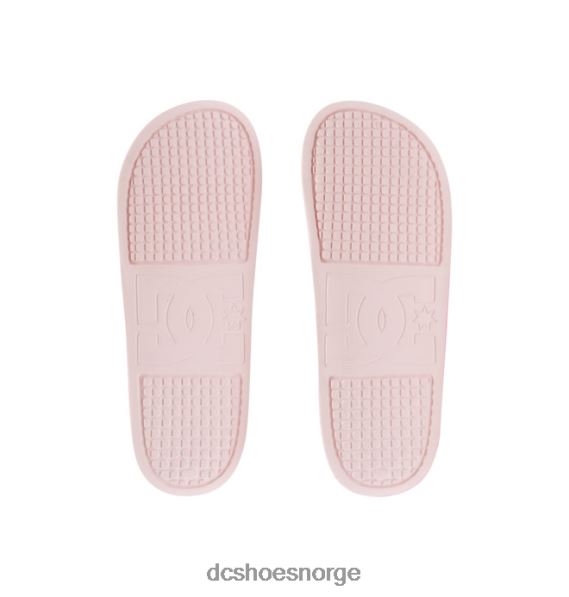 DC Shoes kvinners dc lysbilder X0FD0491 levende gradient