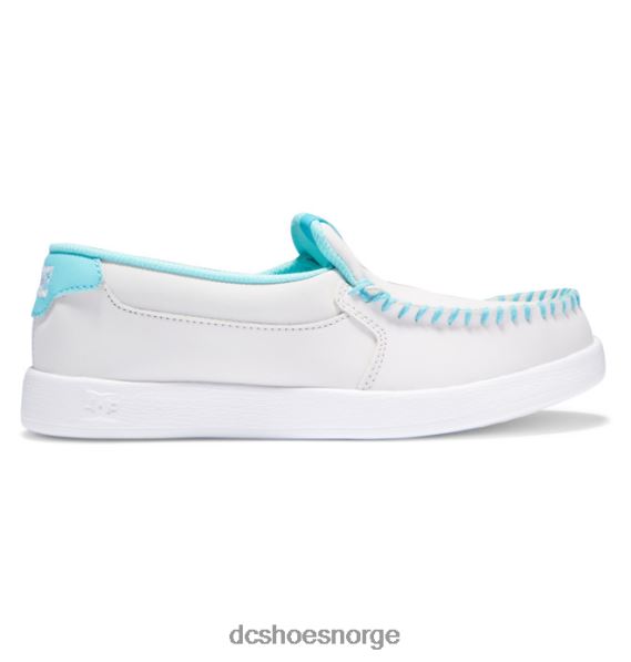 DC Shoes kvinners skurk slip på sko X0FD0435 grå/grønn