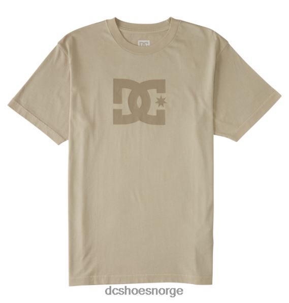 DC Shoes dc star pigment dye t-skjorte for menn X0FD050 overskyet enzymvask
