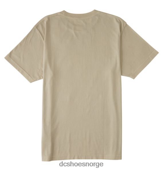 DC Shoes dc star pigment dye t-skjorte for menn X0FD050 overskyet enzymvask