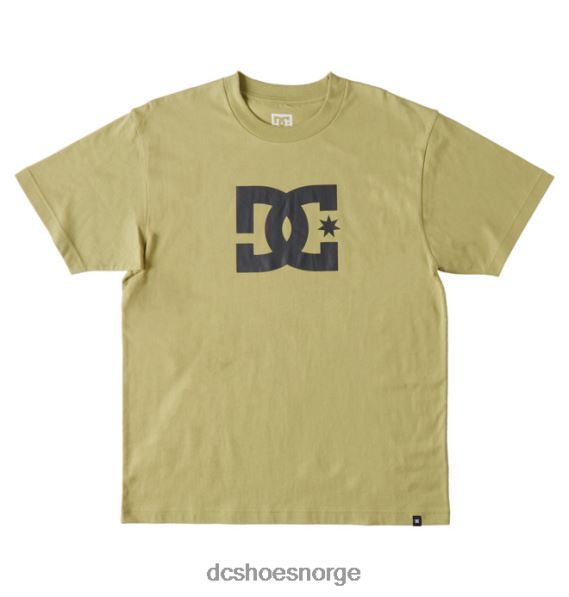 DC Shoes dc star t-skjorte for menn X0FD073 salvie