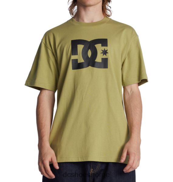 DC Shoes dc star t-skjorte for menn X0FD073 salvie