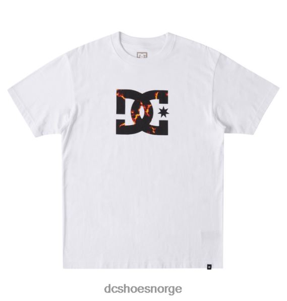 DC Shoes herre dc star fill heritage t-skjorte X0FD077 hvit/ild