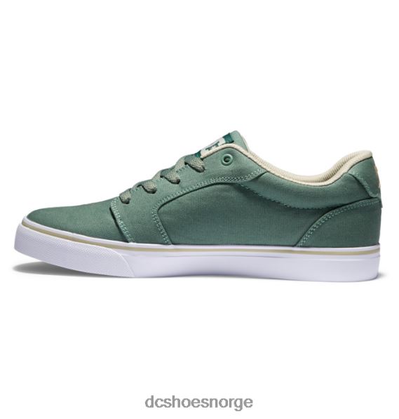 DC Shoes herre ambolt canvas sko X0FD0288 grønn/hvit
