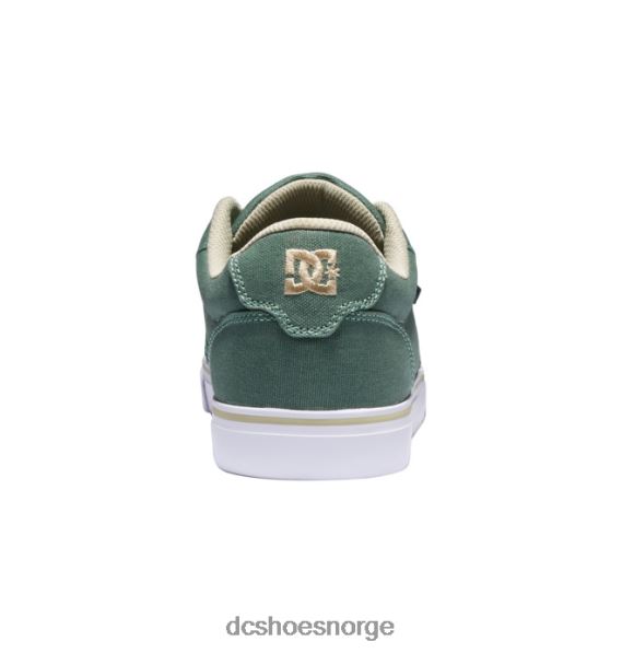 DC Shoes herre ambolt canvas sko X0FD0288 grønn/hvit