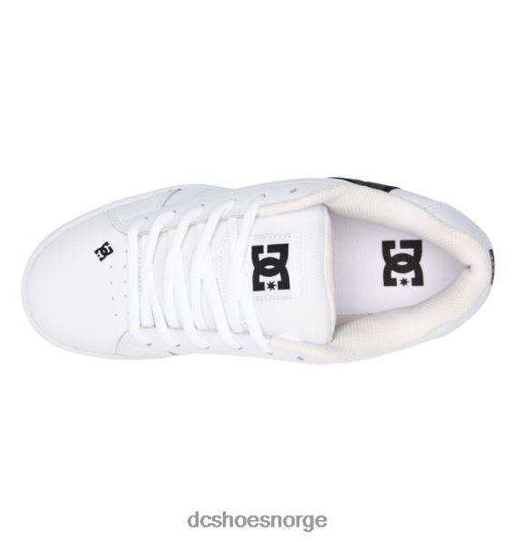 DC Shoes nettsko for menn X0FD0193 hvit/grå