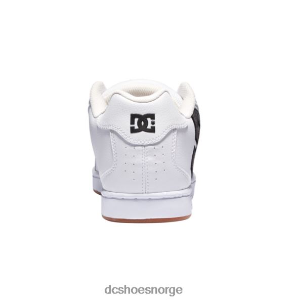 DC Shoes nettsko for menn X0FD0193 hvit/grå