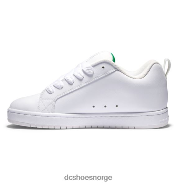DC Shoes herre domstol graffik sko X0FD0279 hvit/grønn