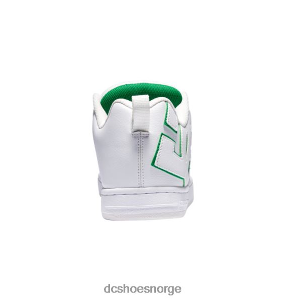 DC Shoes herre domstol graffik sko X0FD0279 hvit/grønn
