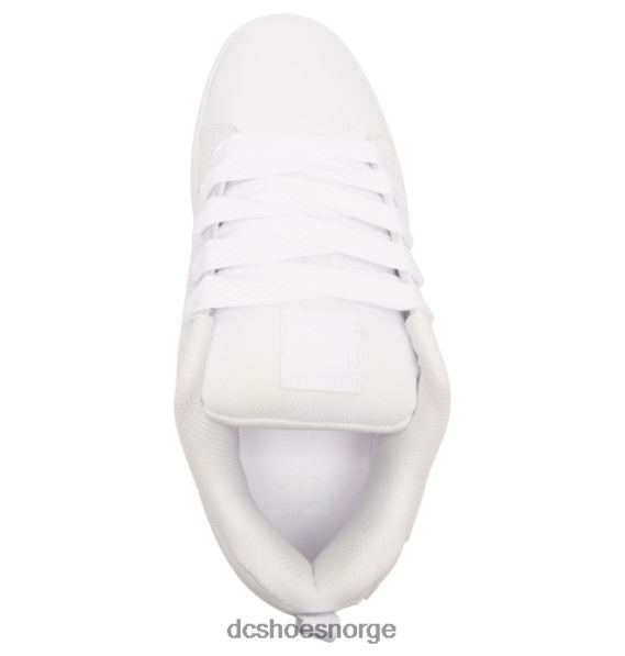 DC Shoes herre domstol graffik sko X0FD0296 hvit