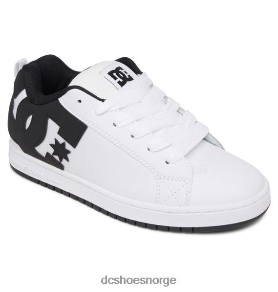 DC Shoes herre domstol graffik sko X0FD067 hvit svart