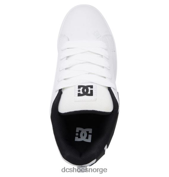 DC Shoes herre domstol graffik sko X0FD067 hvit svart