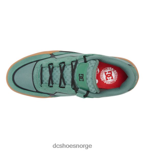 DC Shoes dc metriske skatesko for menn X0FD0339 oliven