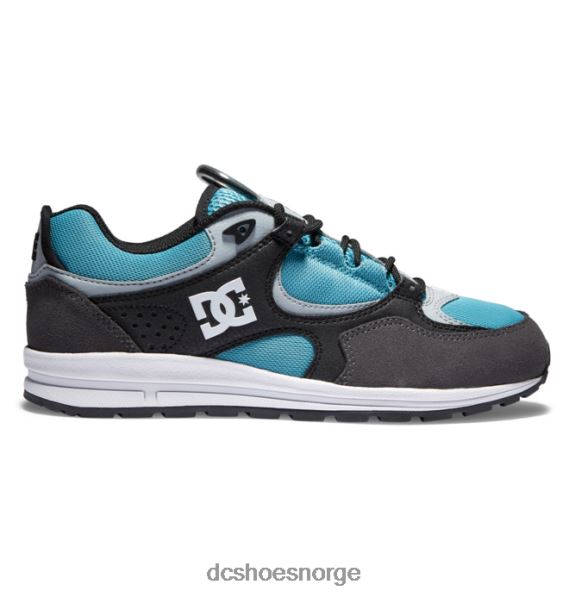 DC Shoes kalis lite skatesko for menn X0FD0175 svart/grå/blå