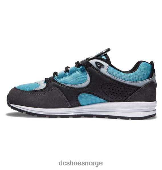DC Shoes kalis lite skatesko for menn X0FD0175 svart/grå/blå