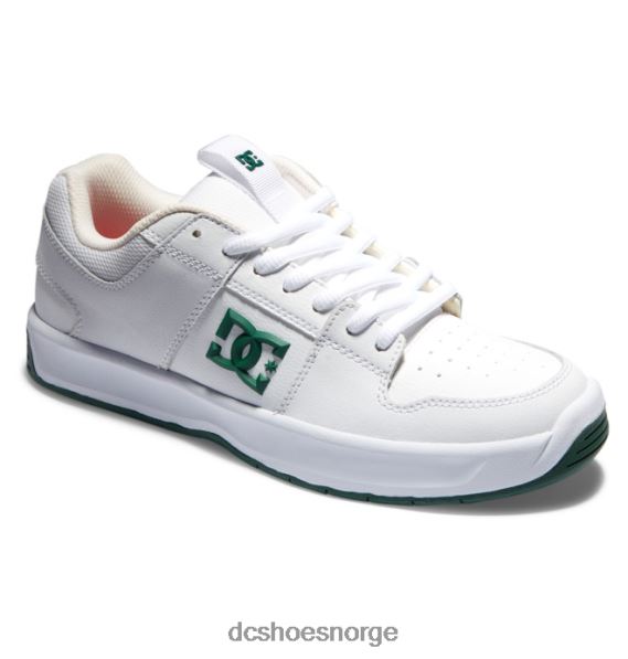 DC Shoes lynx zero skatesko for menn X0FD0236 hvit/grønn