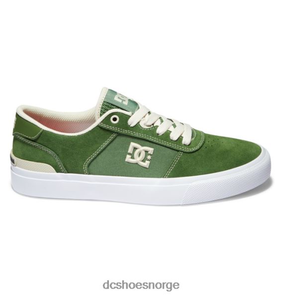 DC Shoes teknic s jaakko skatesko for menn X0FD024 mørk oliven