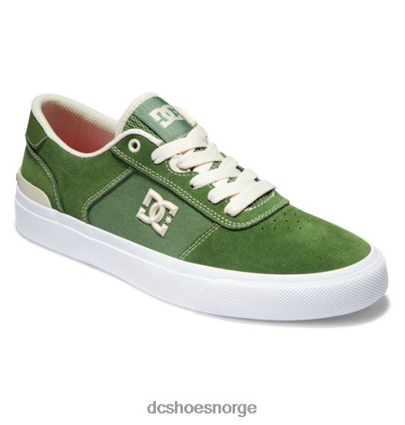 DC Shoes teknic s jaakko skatesko for menn X0FD024 mørk oliven