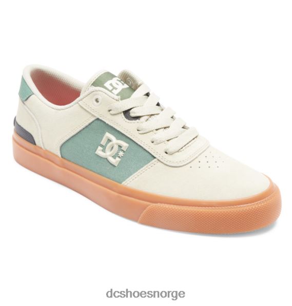 DC Shoes tekniske skatesko for menn X0FD028 brun/grønn