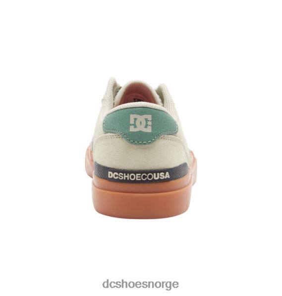 DC Shoes tekniske skatesko for menn X0FD028 brun/grønn