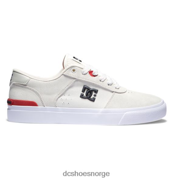 DC Shoes tekniske skatesko for menn X0FD029 off white