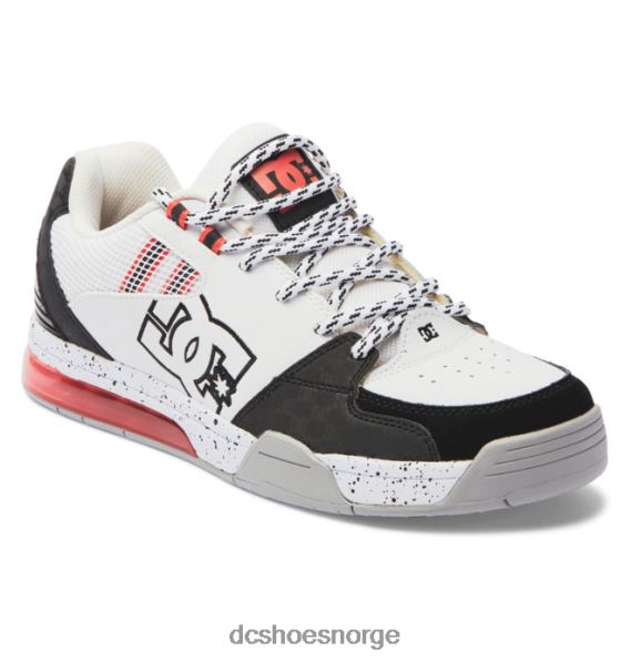DC Shoes allsidige herresko X0FD0152 hvit/svart/blå