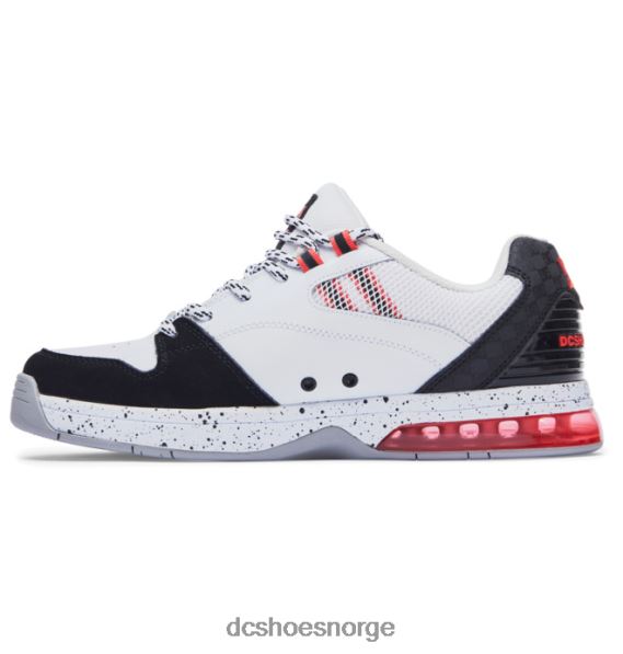 DC Shoes allsidige herresko X0FD0152 hvit/svart/blå