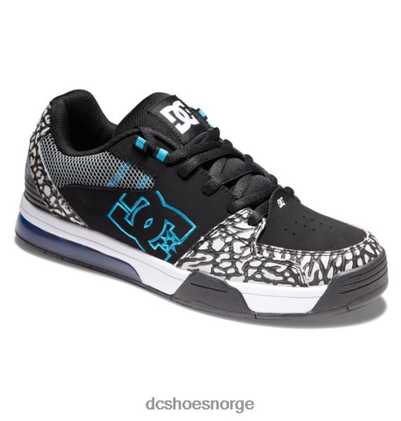 DC Shoes allsidige herresko X0FD0380 grå/svart/blå
