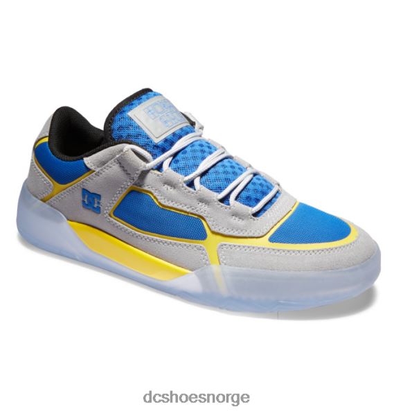 DC Shoes menns hongo x dc metriske sko X0FD0348 grå/blå/gul