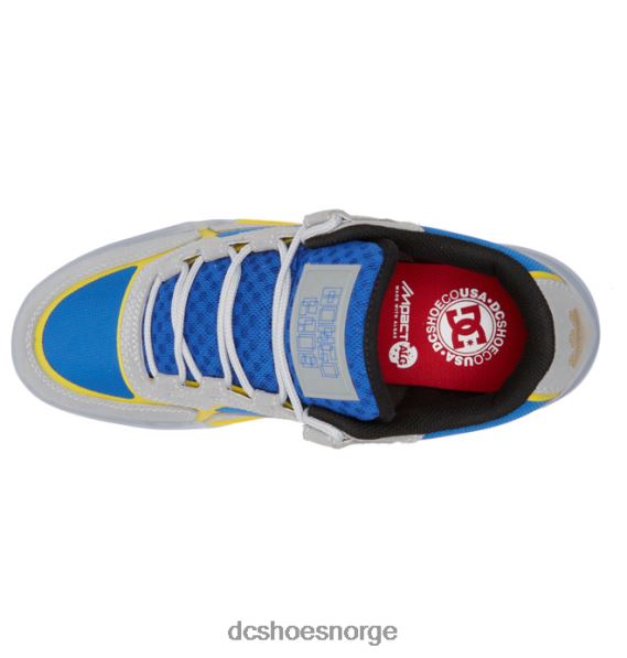 DC Shoes menns hongo x dc metriske sko X0FD0348 grå/blå/gul