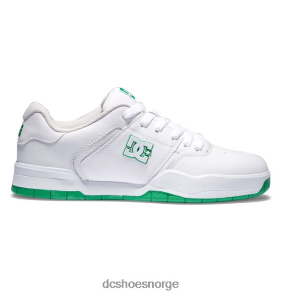 DC Shoes sentralsko for menn X0FD0216 hvit/grønn