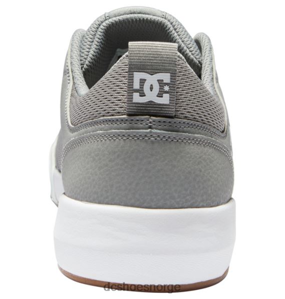 DC Shoes transittsko for menn X0FD014 grå/hvit
