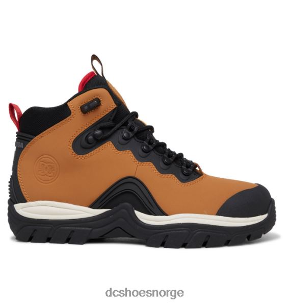 DC Shoes navigator vinterstøvler med blonder for menn X0FD0165 hvete/svart