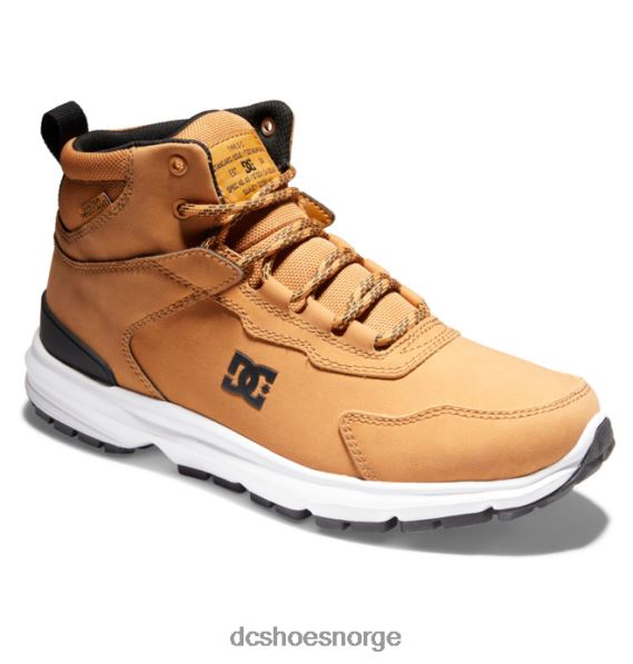 DC Shoes vannavstøtende vinterstøvler for menn X0FD0334 hvete/svart