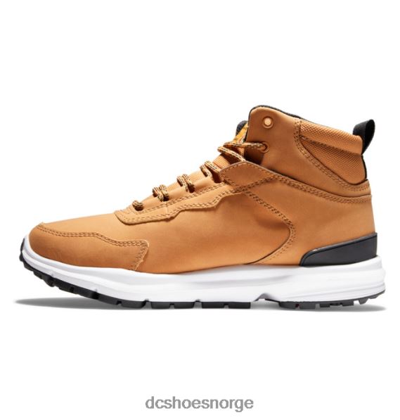 DC Shoes vannavstøtende vinterstøvler for menn X0FD0334 hvete/svart